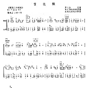 雪花飘 古筝椰胡合奏