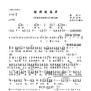 惜别的海岸_歌曲简谱_词曲:陈欣 董家铭