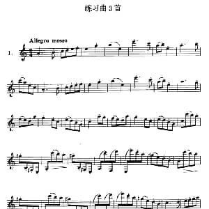 单簧管高级练习曲3首
