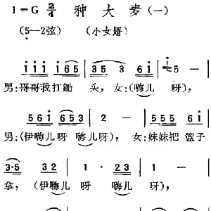 扬剧曲调 种大麦 一 小女婿