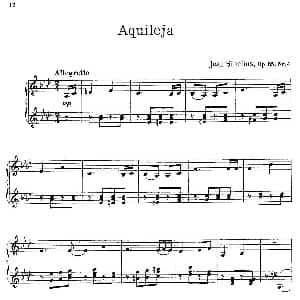 The Flowers 钢琴谱 简 西贝柳斯