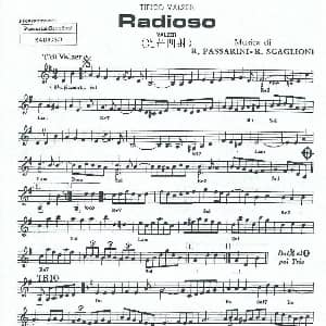 手风琴谱 | 光芒四射华尔兹 手风琴五线谱 帕萨里尼 斯卡廖尼