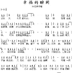 幸福的瞬间_通俗唱法乐谱_词曲:王中言 周传雄