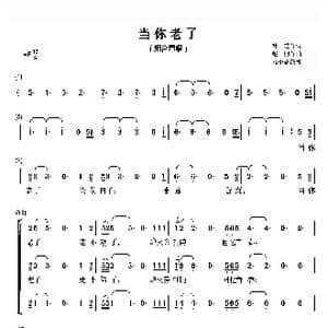 当你老了_歌谱投稿_词曲:叶芝 赵照