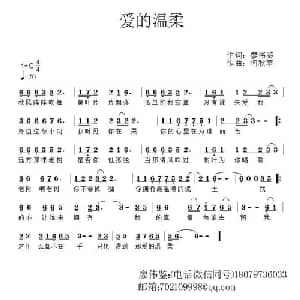 爱的温柔_通俗唱法乐谱_词曲:廖伟鉴 何秋苹