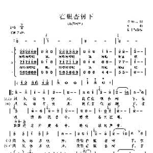 在银杏树下_歌谱投稿_词曲:余炳武 张千一