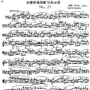 大提琴高级练习曲40首 No.23 戴维 波帕尔