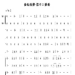笛子谱 | 金枝欲孽 笛子二重奏