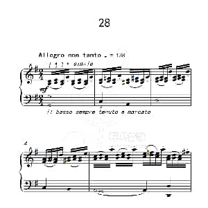 练习曲 28 钢琴谱