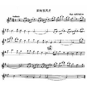 萨克斯谱 | 田纳西风光