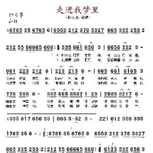 走进我梦里_歌谱投稿