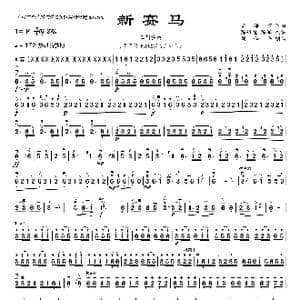 新赛马_歌曲简谱_词曲: 黄海怀