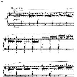 手风琴谱 | 车尔尼手风琴练习曲集 第Ⅲ册 P75—97