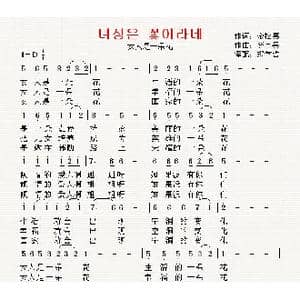 朝鲜 女人是一朵花_歌曲简谱_词曲:金松男 翻译:郑学哲 李宗吴