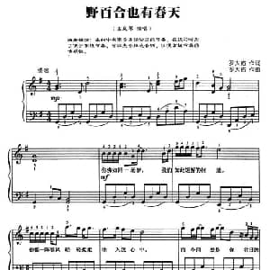 野百合也有春天 钢琴谱 罗大佑 罗大佑