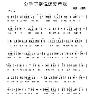 分手了别说还爱着我_通俗唱法乐谱_词曲:胡进 胡进