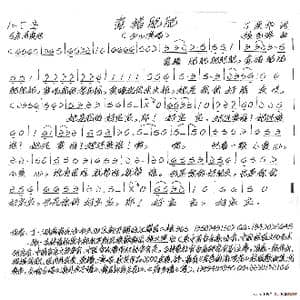 瓷猪肥肥_歌谱投稿_词曲:丁荣华 张艺军