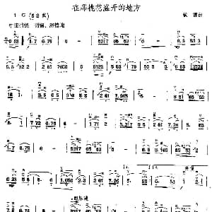 二胡谱 | 在那桃花盛开的地方 铁源