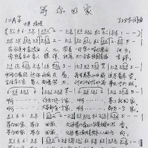 等你回家_歌曲简谱_词曲:孙卫东 孙卫东