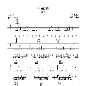 往事随风 吉他谱 齐秦 许常德 徐惠源曲 彼岸