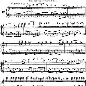 长笛曲谱 | 柯勒40首长笛提高练习曲OP.55 NO.19 Kohler 柯勒
