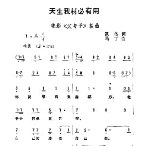 天生我材必有用_通俗唱法乐谱_词曲:凯传 马丁