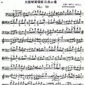 大提琴高级练习曲40首 No.30 戴维 波帕尔