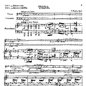 Piano Trio in g Minor Op.8 钢琴谱 肖邦 chopin