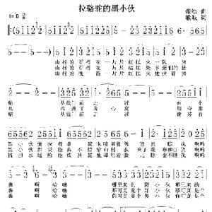 拉骆驼的黑小伙_歌谱投稿