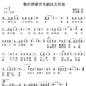 我在洒满月光的地方等你_通俗唱法乐谱_词曲:张忆兰 左玉龙