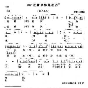 近看尕妹是牡丹_民歌简谱