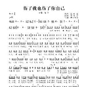 伤了我也伤了你自己_歌曲简谱_词曲:骆超勇 张宏宇