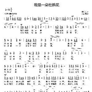 我是一朵杜鹃花_歌曲简谱_词曲:熊中元 刘启明