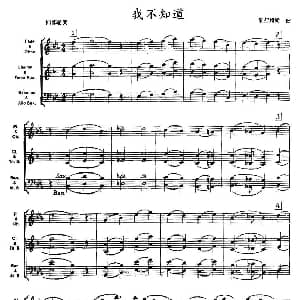 我不知道 木管乐器四部轮奏 勃拉姆斯