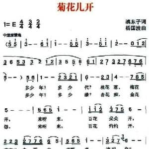 菊花儿开_民歌简谱_词曲:滇东子 杨国波