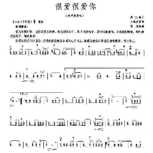 二胡谱 | 很爱很爱你 陈艳 编曲