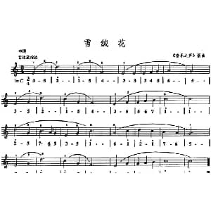 雪绒花 音乐之声 插曲 口风琴 线简谱混排版