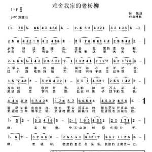 难舍我家的老杨柳_民歌简谱_词曲:孙伟 许森林