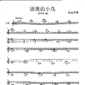 活泼的小鸟_歌谱投稿_词曲: 杨会林