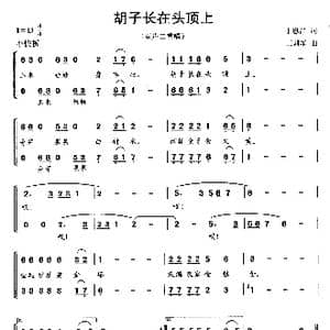 胡子长在头顶上_歌曲简谱_词曲:丁恩昌 王训军
