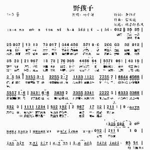 野孩子_歌曲简谱_词曲:黄伟文 雷颂德