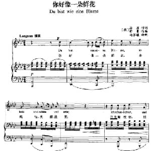 你好像一朵鲜花 德国 _外国歌谱_词曲: 德 海涅 德 舒曼曲 尚家骧译配