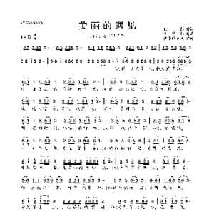 ​美丽的遇见_歌曲简谱_词曲:田然 李悠扬