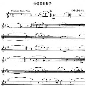 长笛曲谱 | 你微笑的影子
