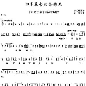 秦腔 田赛花含泪祭娘来 河湾洗衣 田赛华唱段 李正敏