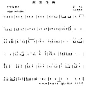 二胡谱 | 踏雪寻梅 王国潼编曲