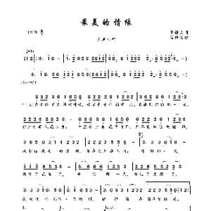最美的情缘_歌曲简谱_词曲:玉镯儿 崔伟立