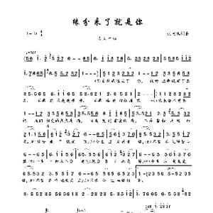 缘分来了就是你_歌曲简谱_词曲:张天赋 张天赋