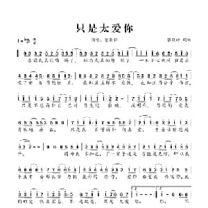 只是太爱你_通俗唱法乐谱_词曲:张敬轩 张敬轩