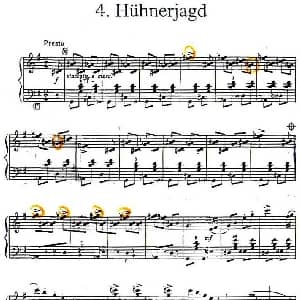 手风琴谱 | 斗鸡 Hühnerjagd